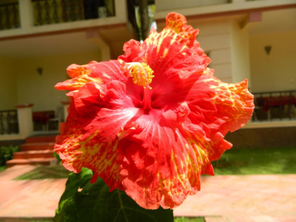 Fantasy Golf Resort Devanahalli Exterior foto
